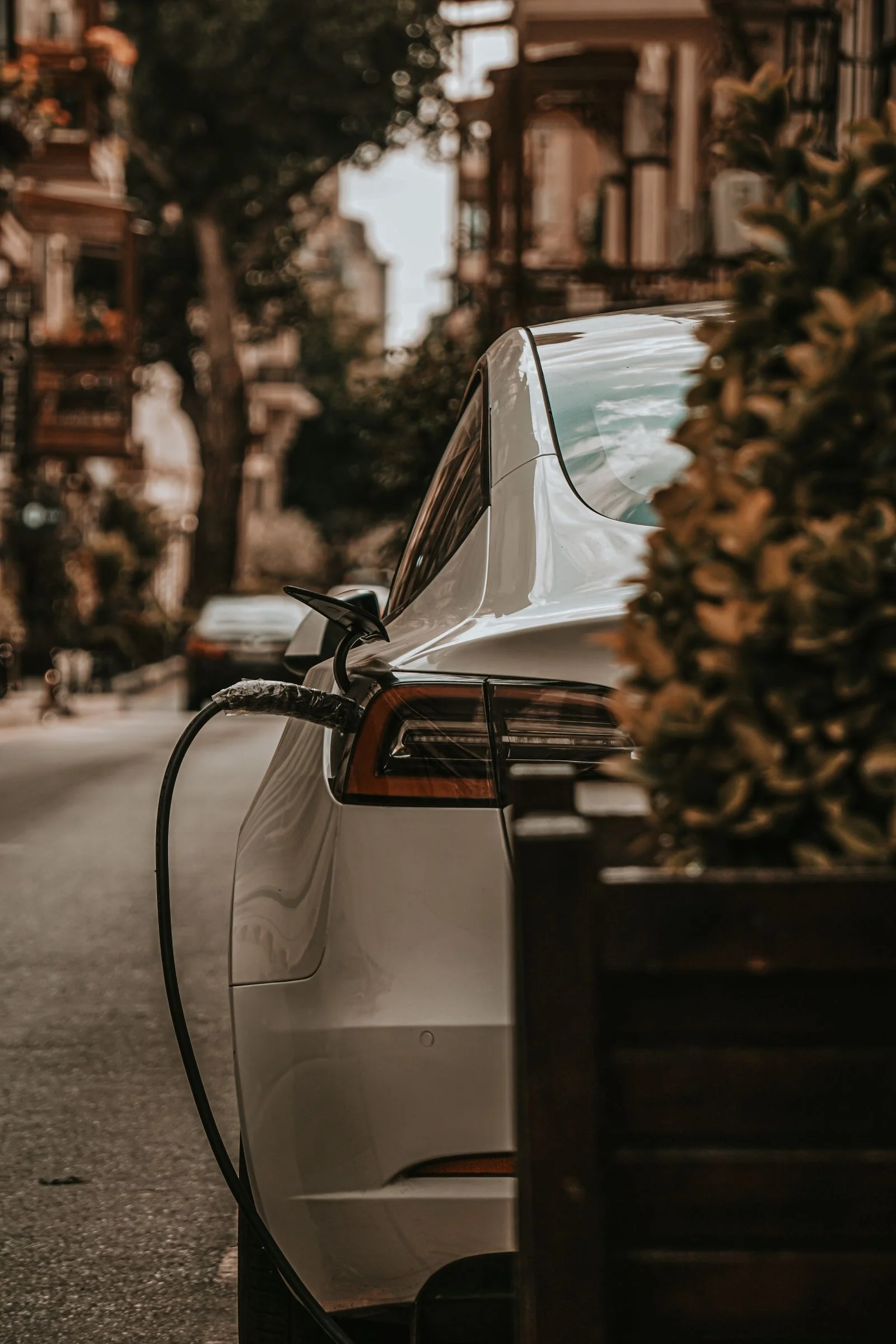 El Boom Eléctrico en Ecuador: Aranceles Cero, BYD y el Futuro del Motor